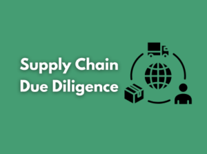 Supply Chain Due Diligence