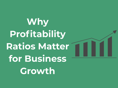 Why Profitability Ratios Matter for Business Growth