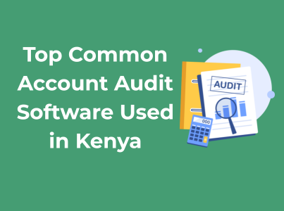 Top Common Account Audit Software Used in Kenya for Businesses