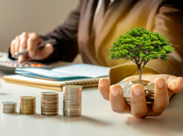 accounting person holding money and tree depicting growth